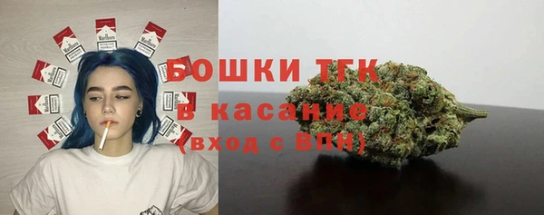 твердый Алексин