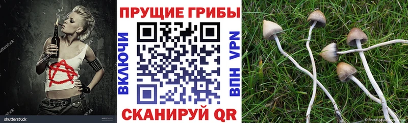 omg ONION  Динская  Псилоцибиновые грибы прущие грибы 